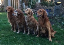 OJackson Genna Onia Und Otis 2